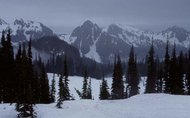 Lane Peak from Paradise