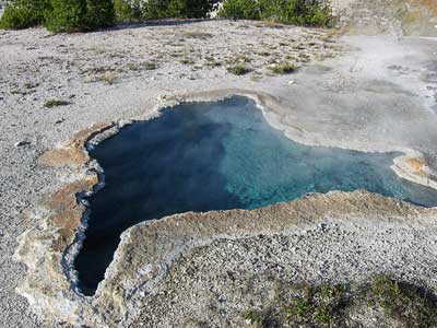 Blue Star Spring