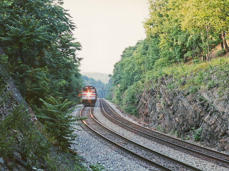 Amtrak at Doe Gully